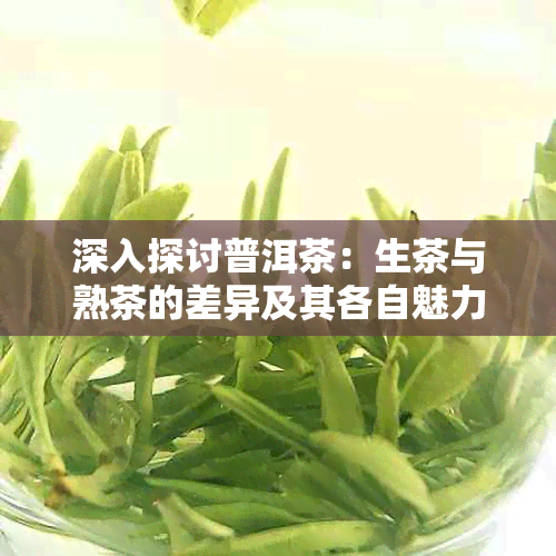 深入探讨普洱茶：生茶与熟茶的差异及其各自魅力