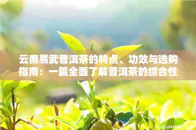 云南易武普洱茶的特点、功效与选购指南：一篇全面了解普洱茶的综合性文章