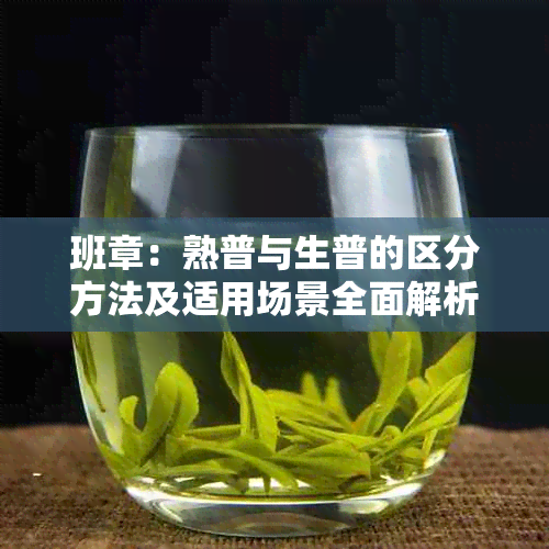 班章：熟普与生普的区分方法及适用场景全面解析