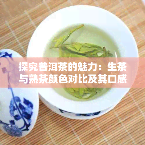 探究普洱茶的魅力：生茶与熟茶颜色对比及其口感差异