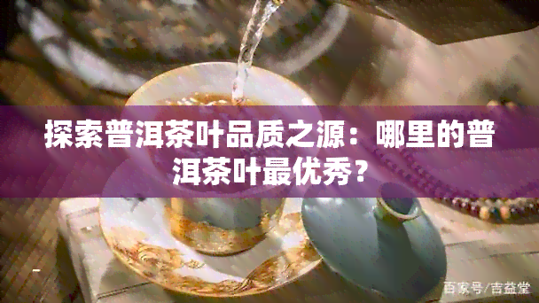 探索普洱茶叶品质之源：哪里的普洱茶叶更优秀？