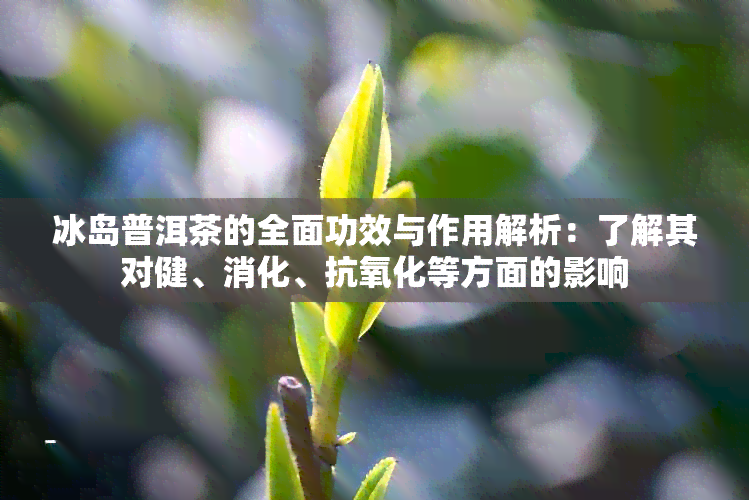 冰岛普洱茶的全面功效与作用解析：了解其对健、消化、抗氧化等方面的影响