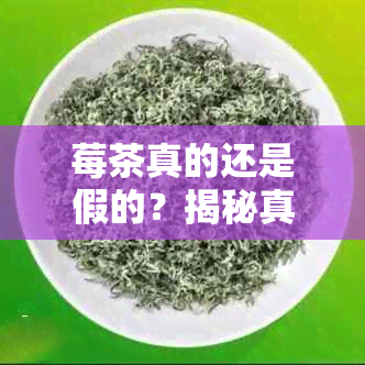 莓茶真的还是假的？揭秘真相