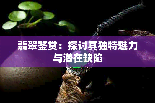 翡翠鉴赏：探讨其独特魅力与潜在缺陷