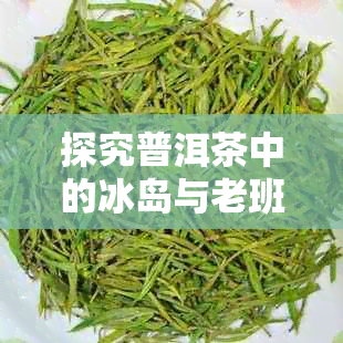 探究普洱茶中的冰岛与老班章：口感对比与哪个更佳