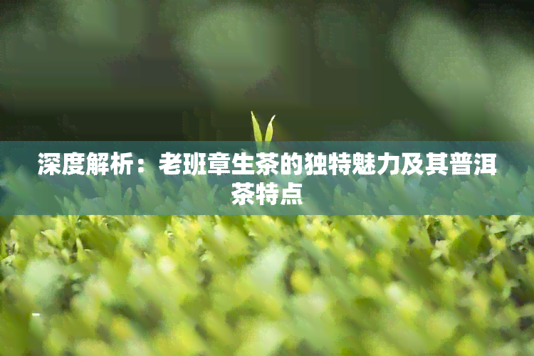 深度解析：老班章生茶的独特魅力及其普洱茶特点