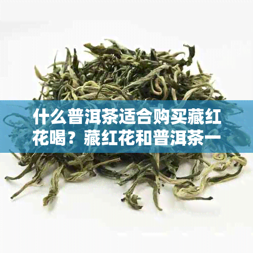 什么普洱茶适合购买藏红花喝？藏红花和普洱茶一起泡有什么效果？