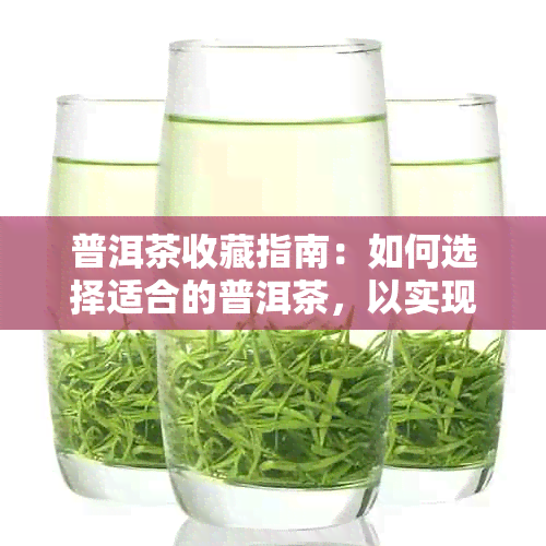 普洱茶收藏指南：如何选择适合的普洱茶，以实现品鉴和保值效果？