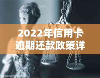 2022年信用卡逾期还款政策详解：持卡人必知的处理步骤与办法