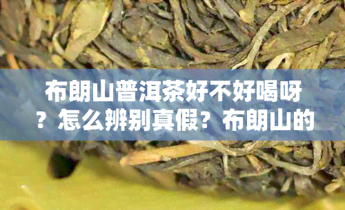 布朗山普洱茶好不好喝呀？怎么辨别真假？布朗山的普洱茶有什么特点和区别？