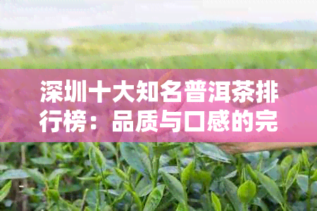 深圳十大知名普洱茶排行榜：品质与口感的完美融合