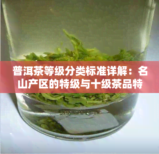 普洱茶等级分类标准详解：名山产区的特级与十级茶品特点比较