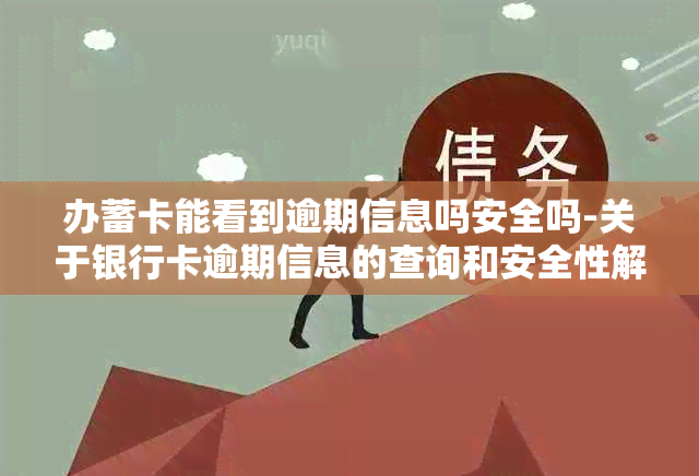 办蓄卡能看到逾期信息吗安全吗-关于银行卡逾期信息的查询和安全性解答