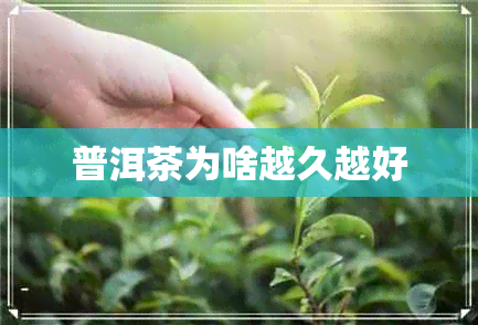 普洱茶为啥越久越好