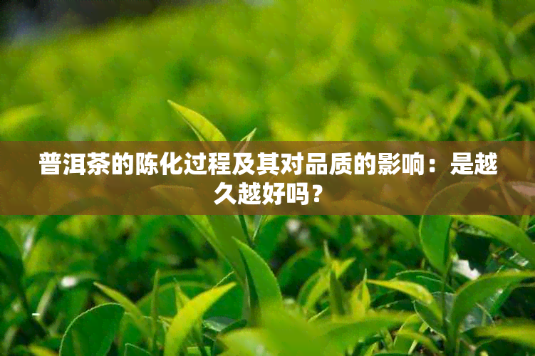 普洱茶的陈化过程及其对品质的影响：是越久越好吗？