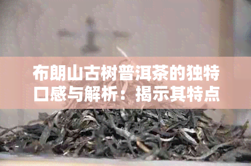 布朗山古树普洱茶的独特口感与解析：揭示其特点和魅力