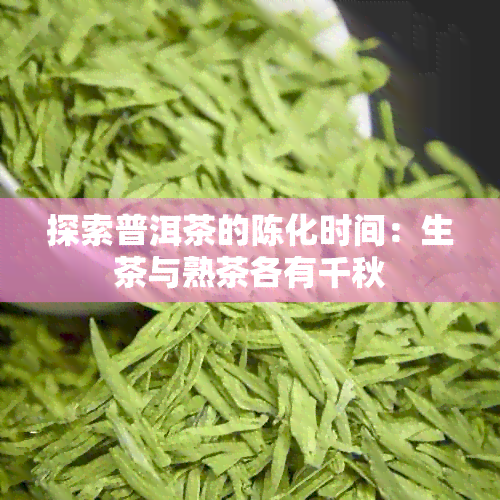 探索普洱茶的陈化时间：生茶与熟茶各有千秋