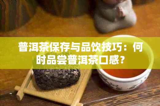 普洱茶保存与品饮技巧：何时品尝普洱茶口感？