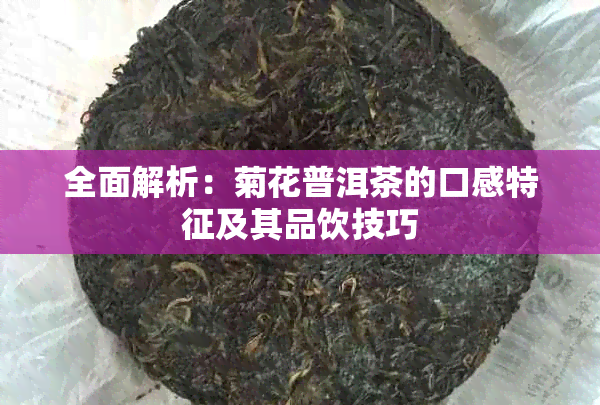 全面解析：菊花普洱茶的口感特征及其品饮技巧