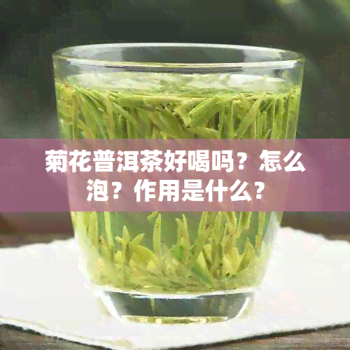 菊花普洱茶好喝吗？怎么泡？作用是什么？