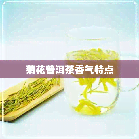 菊花普洱茶香气特点