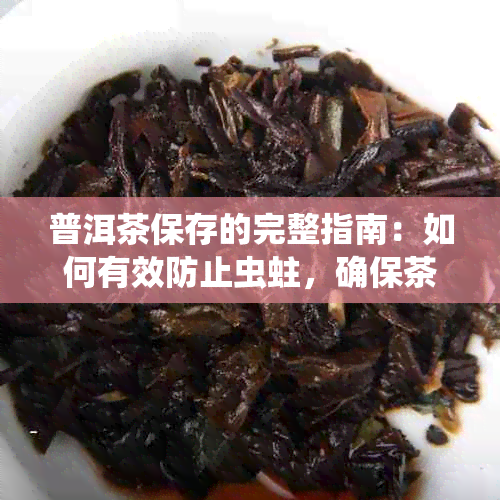 普洱茶保存的完整指南：如何有效防止虫蛀，确保茶叶质量和口感