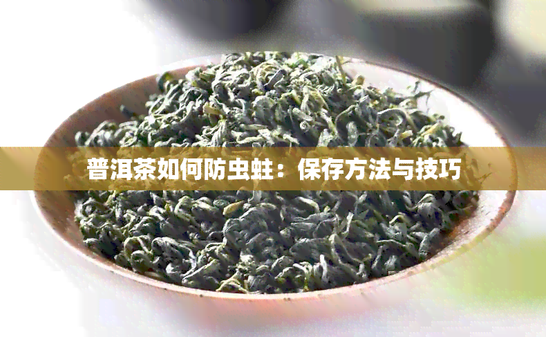 普洱茶如何防虫蛀：保存方法与技巧