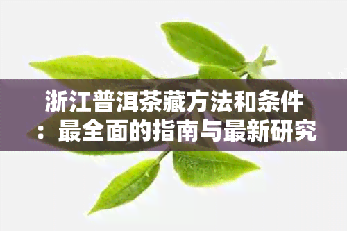 浙江普洱茶藏方法和条件：最全面的指南与最新研究