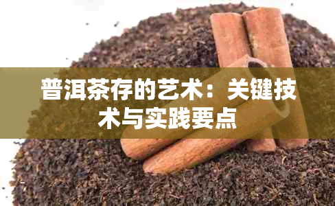 普洱茶存的艺术：关键技术与实践要点