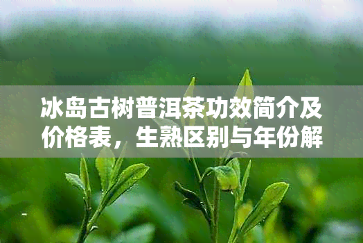 冰岛古树普洱茶功效简介及价格表，生熟区别与年份解析，357克多少钱2018