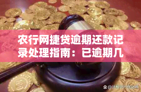 农行网捷贷逾期还款记录处理指南：已逾期几年的贷款该如何处理？