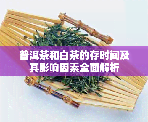 普洱茶和白茶的存时间及其影响因素全面解析