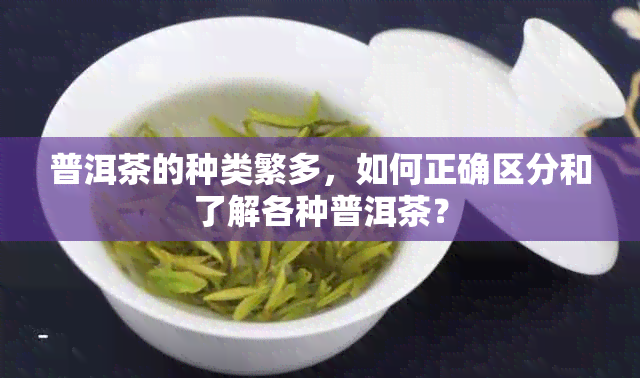 普洱茶的种类繁多，如何正确区分和了解各种普洱茶？