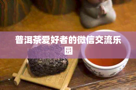 普洱茶爱好者的微信交流乐园