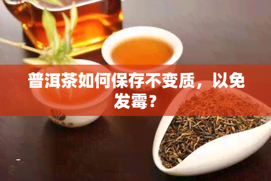 普洱茶如何保存不变质，以免发霉？