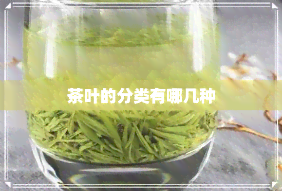 茶叶的分类有哪几种