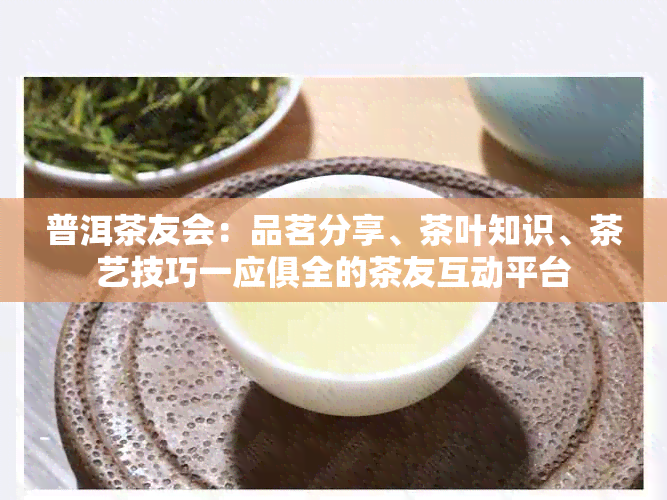 普洱茶友会：品茗分享、茶叶知识、茶艺技巧一应俱全的茶友互动平台