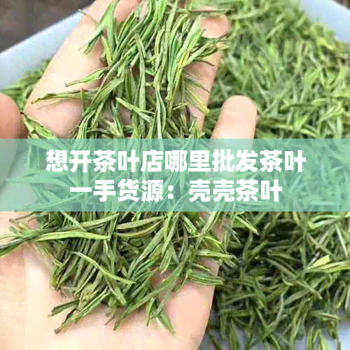 想开茶叶店哪里批发茶叶一手货源：壳壳茶叶