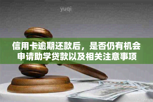 信用卡逾期还款后，是否仍有机会申请助学贷款以及相关注意事项