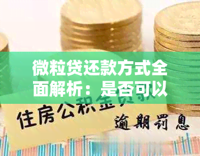 微粒贷还款方式全面解析：是否可以直接打到对公账户？还款流程及注意事项