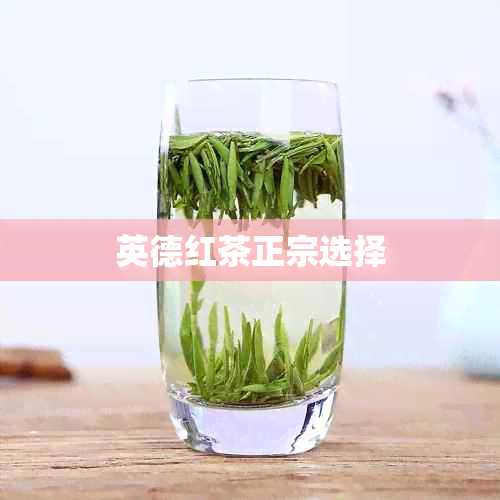 英德红茶正宗选择