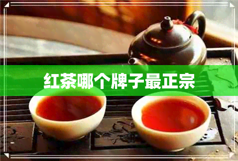 红茶哪个牌子最正宗