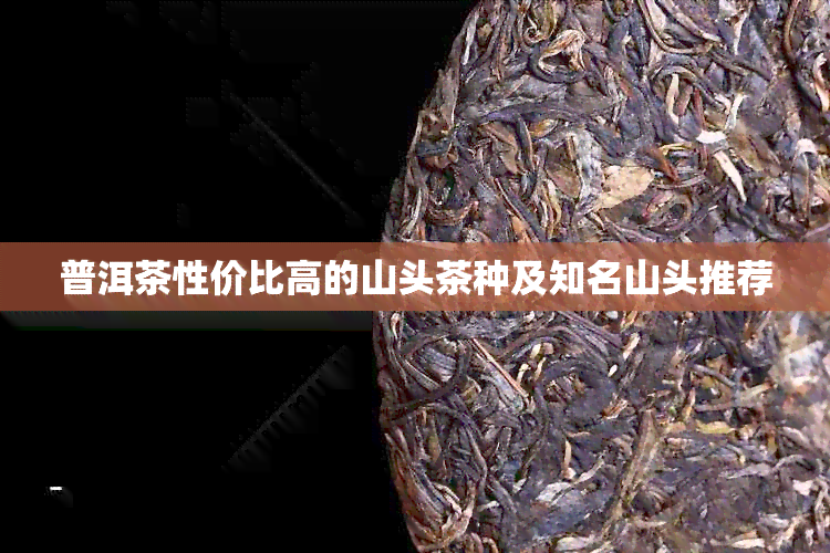 普洱茶性价比高的山头茶种及知名山头推荐