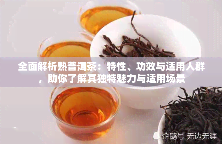 全面解析熟普洱茶：特性、功效与适用人群，助你了解其独特魅力与适用场景