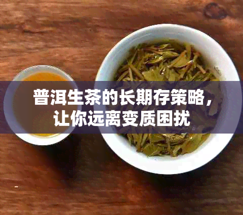 普洱生茶的长期存策略，让你远离变质困扰