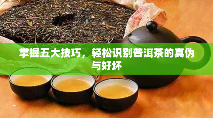 掌握五大技巧，轻松识别普洱茶的真伪与好坏