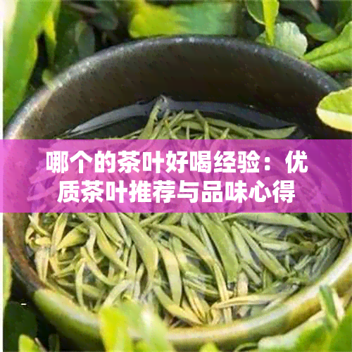 哪个的茶叶好喝经验：优质茶叶推荐与品味心得