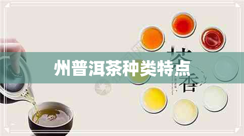 州普洱茶种类特点