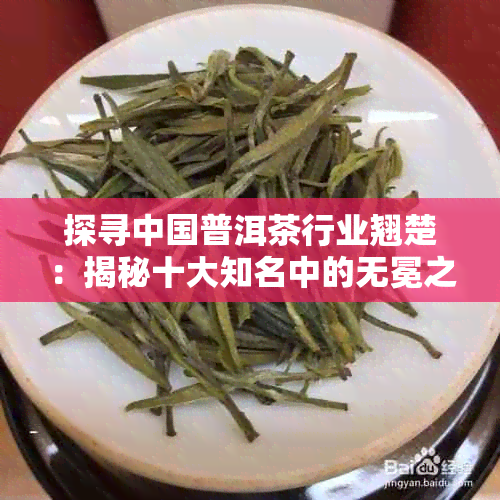 探寻中国普洱茶行业翘楚：揭秘十大知名中的无冕之王