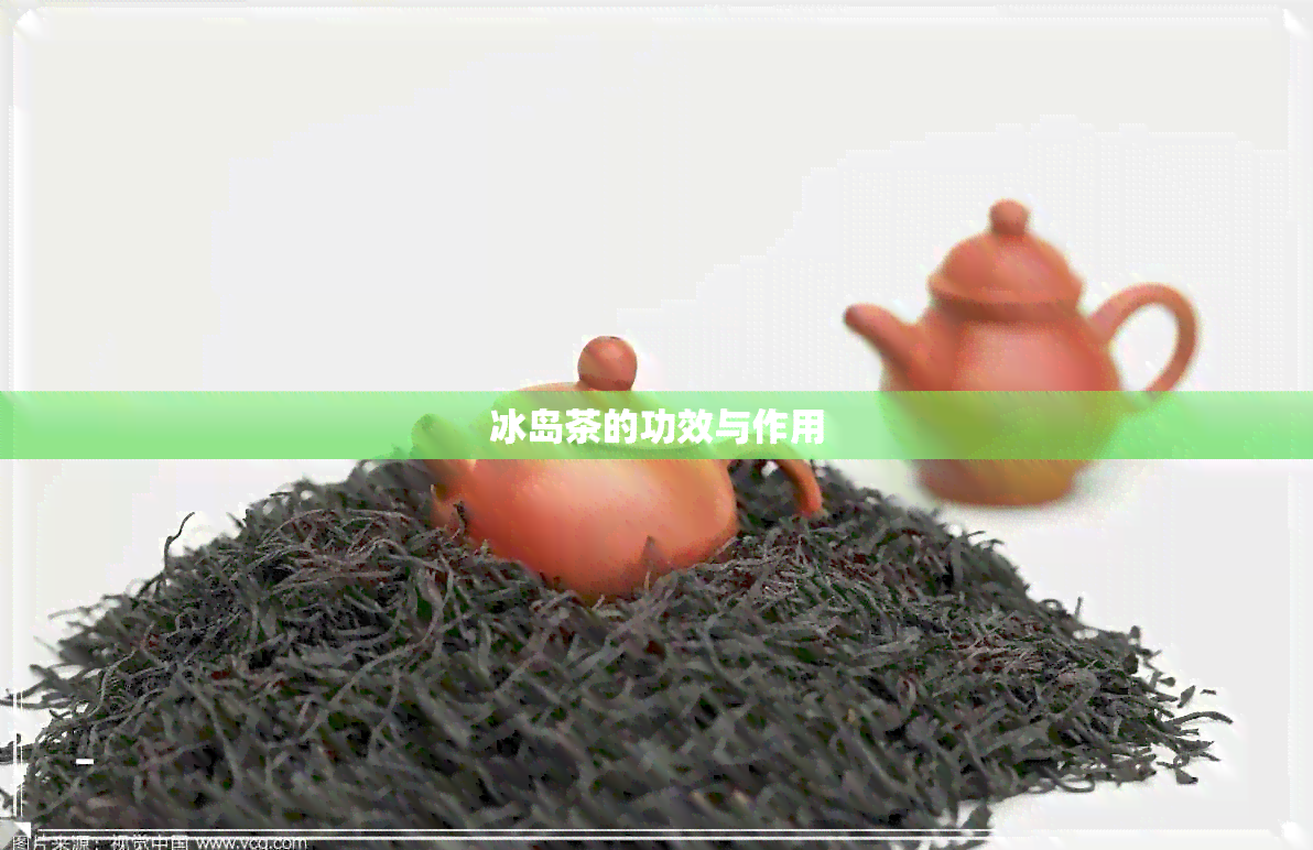 冰岛茶的功效与作用